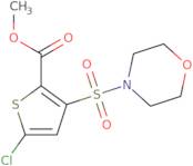 Methyl 5-chloro-3-(morpholin-4-ylsulfonyl)thiophene-2-carboxylate