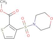 Methyl 3-(morpholin-4-ylsulfonyl)thiophene-2-carboxylate