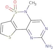 5-Methyl-5H-pyrimido[5,4-c]thieno[2,3-e][1,2]thiazin-2-amine 6,6-dioxide