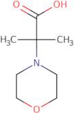 2-Methyl-2-morpholin-4-ylpropanoate hydrochloride