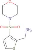 [3-(Morpholin-4-ylsulfonyl)thien-2-yl]methylamine