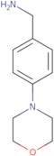 1-(4-Morpholin-4-ylphenyl)methanamine dihydrochloride