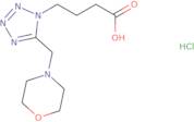 4-[5-(Morpholin-4-ylmethyl)-1H-tetrazol-1-yl]butanoic acid hydrochloride