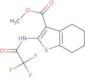 Methyl 2-[(trifluoroacetyl)amino]-4,5,6,7-tetrahydro-1-benzothiophene-3-carboxylate