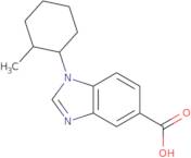 1-(2-Methylcyclohexyl)-1H-benzimidazole-5-carboxylic acid
