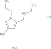 N-[(3-Methyl-1-propyl-1H-pyrazol-5-yl)methyl]ethanamine dihydrochloride