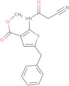 Methyl 5-benzyl-2-[(cyanoacetyl)amino]thiophene-3-carboxylate