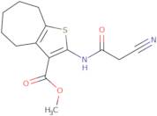 Methyl 2-[(cyanoacetyl)amino]-5,6,7,8-tetrahydro-4H-cyclohepta[b]thiophene-3-carboxylate
