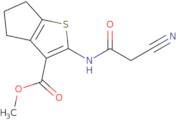 Methyl 2-[(cyanoacetyl)amino]-5,6-dihydro-4H-cyclopenta[b]thiophene-3-carboxylate