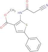 Methyl 2-[(cyanoacetyl)amino]-5-phenylthiophene-3-carboxylate