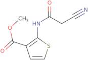 Methyl 2-[(cyanoacetyl)amino]thiophene-3-carboxylate