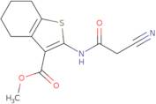 Methyl 2-[(cyanoacetyl)amino]-4,5,6,7-tetrahydro-1-benzothiophene-3-carboxylate