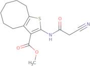 Methyl 2-[(cyanoacetyl)amino]-4,5,6,7,8,9-hexahydrocycloocta[b]thiophene-3-carboxylate
