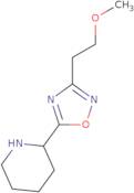 2-[3-(2-Methoxyethyl)-1,2,4-oxadiazol-5-yl]piperidine hydrochloride