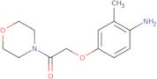 [2-Methyl-4-(2-morpholin-4-yl-2-oxoethoxy)phenyl]amine