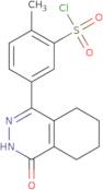 2-Methyl-5-(4-oxo-3,4,5,6,7,8-hexahydrophthalazin-1-yl)benzenesulfonyl chloride