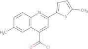 6-Methyl-2-(5-methyl-2-thienyl)quinoline-4-carbonyl chloride