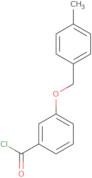 3-[(4-Methylbenzyl)oxy]benzoyl chloride