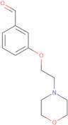 3-(2-Morpholin-4-ylethoxy)benzaldehyde