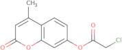 4-Methyl-2-oxo-2H-chromen-7-yl chloroacetate