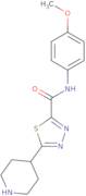 N-(4-Methoxyphenyl)-5-piperidin-4-yl-1,3,4-thiadiazole-2-carboxamide