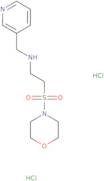 [2-(Morpholin-4-ylsulfonyl)ethyl](pyridin-3-ylmethyl)amine dihydrochloride