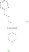 [2-(Morpholin-4-ylsulfonyl)ethyl](pyridin-2-ylmethyl)amine dihydrochloride