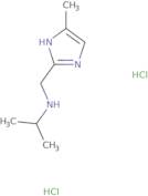 N-[(4-Methyl-1H-imidazol-2-yl)methyl]propan-2-amine dihydrochloride