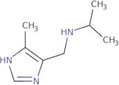 N-[(4-Methyl-1H-imidazol-5-yl)methyl]propan-2-amine dihydrochloride