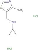 N-[(4-Methyl-1,3-thiazol-5-yl)methyl]cyclopropanamine dihydrochloride