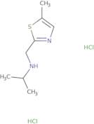 N-[(5-Methyl-1,3-thiazol-2-yl)methyl]propan-2-amine dihydrochloride