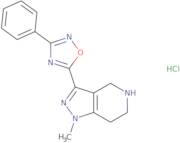 1-Methyl-3-(3-phenyl-1,2,4-oxadiazol-5-yl)-4,5,6,7-tetrahydro-1H-pyrazolo[4,3-c]pyridine hydroch...