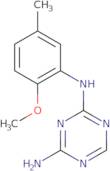 N-(2-Methoxy-5-methylphenyl)-1,3,5-triazine-2,4-diamine