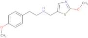 [2-(4-Methoxyphenyl)ethyl][(2-methoxy-1,3-thiazol-5-yl)methyl]amine hydrochloride