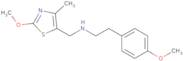 N-[(2-Methoxy-4-methyl-1,3-thiazol-5-yl)methyl]-2-(4-methoxyphenyl)ethanamine hydrochloride