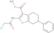 Methyl 2-[(chloroacetyl)amino]-6-phenyl-4,5,6,7-tetrahydro-1-benzothiophene-3-carboxylate