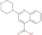 2-Morpholin-4-ylquinoline-4-carboxylic acid