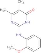 2-[(2-Methoxyphenyl)amino]-5,6-dimethylpyrimidin-4(3H)-one