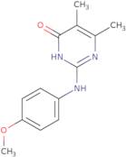 2-[(4-Methoxyphenyl)amino]-5,6-dimethylpyrimidin-4(3H)-one