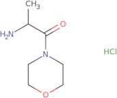 (1-Methyl-2-morpholin-4-yl-2-oxoethyl)amine hydrochloride
