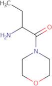 [1-(Morpholin-4-ylcarbonyl)propyl]amine hydrochloride