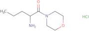 [1-(Morpholin-4-ylcarbonyl)butyl]amine hydrochloride