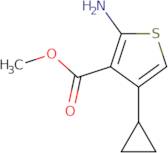 Methyl 2-amino-4-cyclopropylthiophene-3-carboxylate