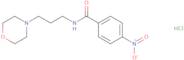 N-(3-Morpholin-4-ylpropyl)-4-nitrobenzamide hydrochloride