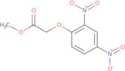 Methyl (2,4-dinitrophenoxy)acetate