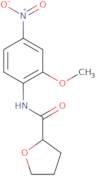 N-(2-Methoxy-4-nitrophenyl)tetrahydrofuran-2-carboxamide