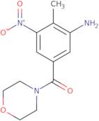 [2-Methyl-5-(morpholin-4-ylcarbonyl)-3-nitrophenyl]amine