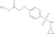 Methyl {4-[(cyclopropylamino)sulfonyl]phenoxy}acetate