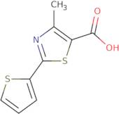 4-Methyl-2-(2-thienyl)-1,3-thiazole-5-carboxylic acid