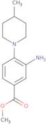 Methyl 3-amino-4-(4-methylpiperidin-1-yl)benzoate